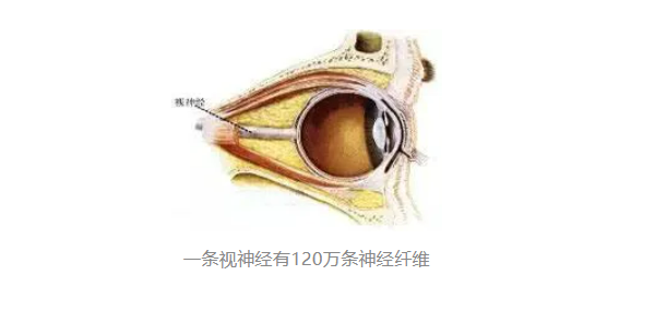 828b388d57d63fa19142bf131b4e31f.png