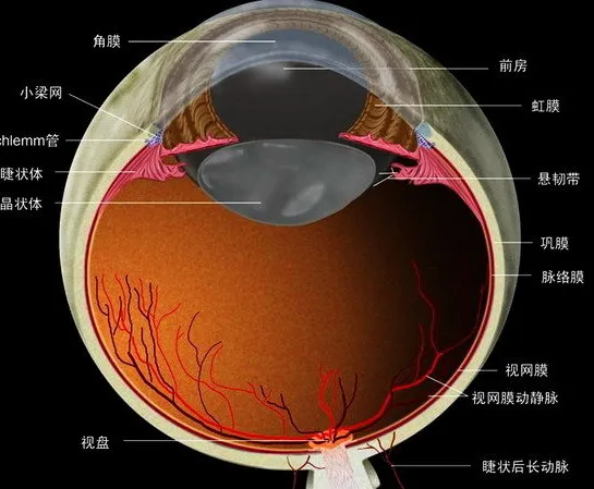 图片218.png