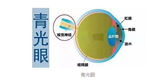 f1ec1a0bb3f339ab2c2e631b7dc3f5e.png