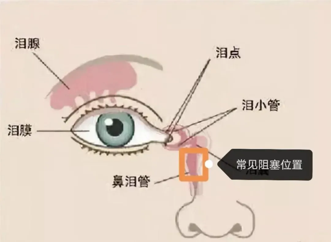 微信图片_20250711095559.png
