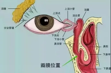 微信图片_20250711101842.png
