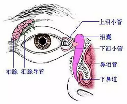 微信图片_20250711100241.png