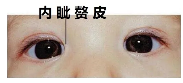 1752203288460489.png image.png