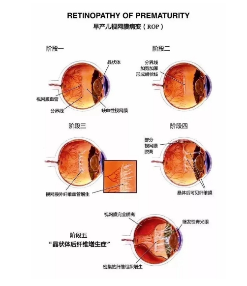 微信截图_20250715102009.png