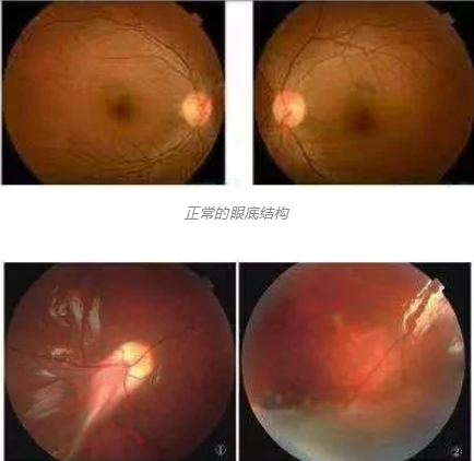 1752546354443800.png 微信截图_20250715102500.png
