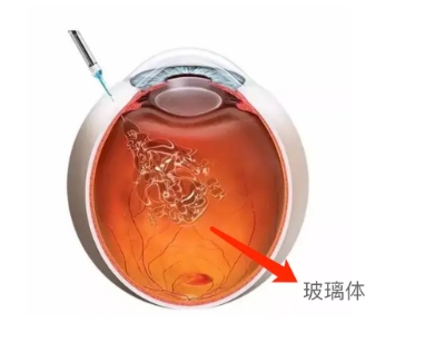 微信截图_20250715135033.png