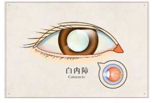 微信截图_20250715135837.png
