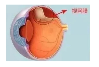 微信截图_20250715140407.png