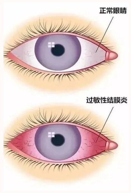 微信截图_20250715162858.png