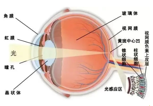 微信截图_20250715164305.png