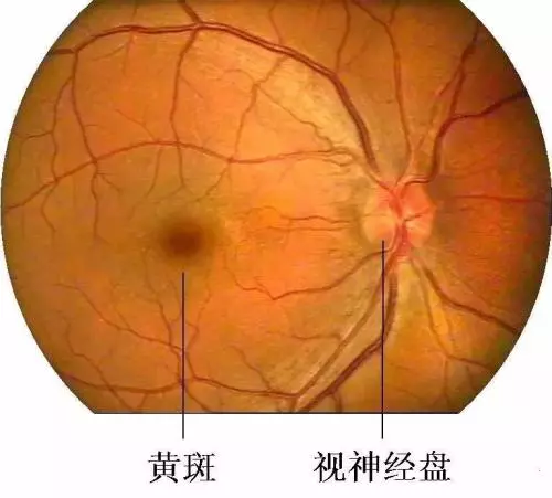 455b805e57ce04b9f0c9901710efb23.png