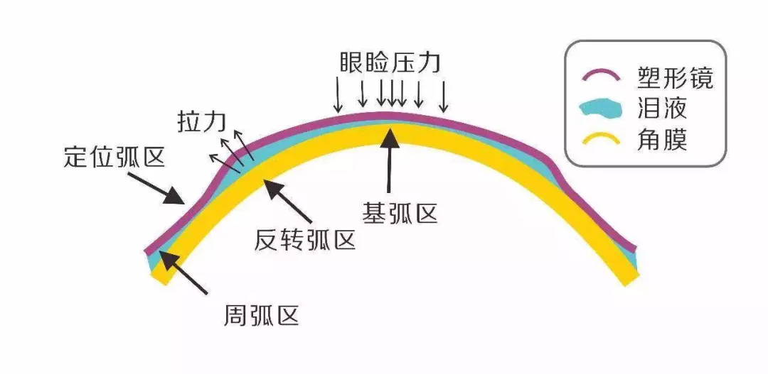 1752743706612795.png a04d1ff2cac5f00dbd3db1bab32893d.png