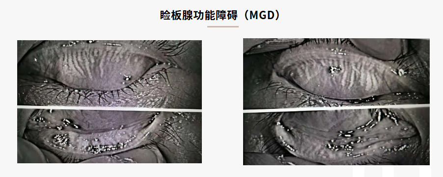 6a08d27d06a5ebeeb407531356e371b.png