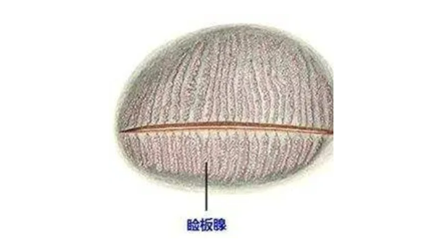 216013009b5ff2b74674f25a746a9b4.png