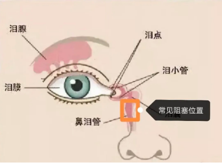 4186ed502c6f24ca789935f93cb317a.png