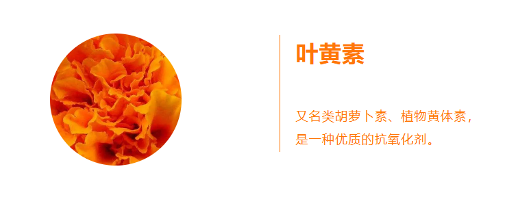 cfce8a552d42ae9db8581a3f439c074.png