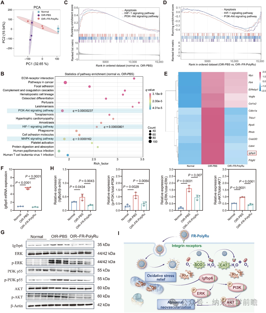 1758868020350782.png 1758868020350782.png