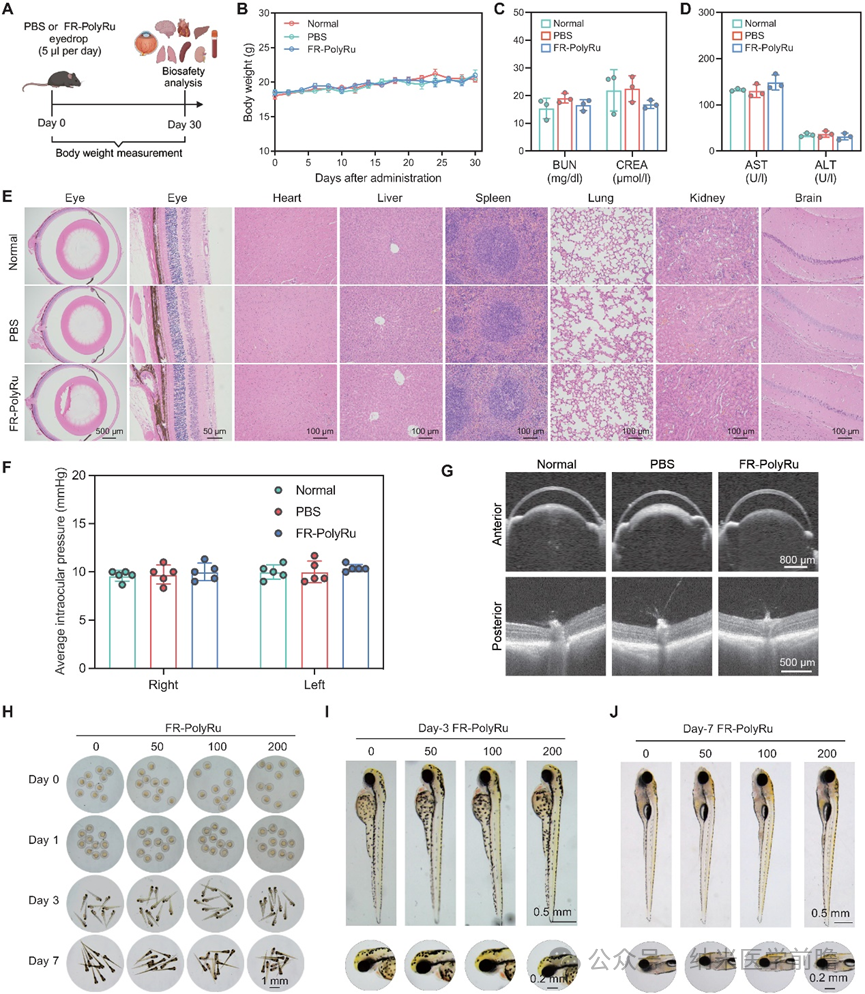 1758868037694722.png 1758868037694722.png