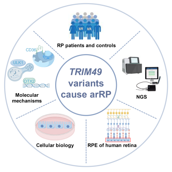 1759138604879261.png 1759138604879261.png