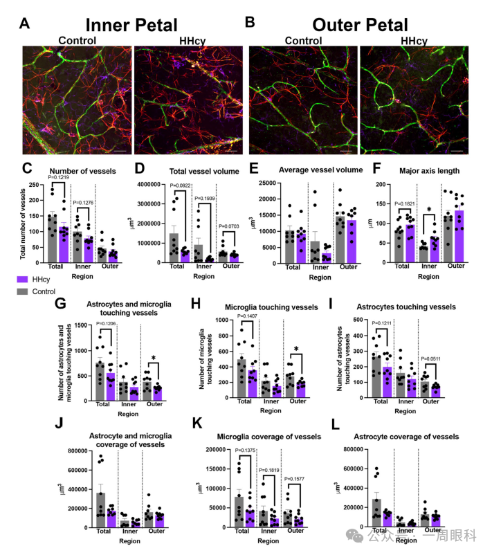 1760001160761220.png 1760001160761220.png