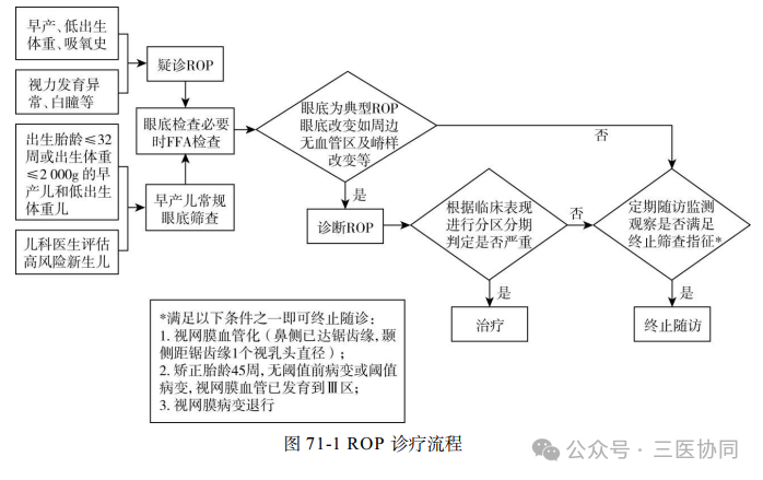 图片11.png