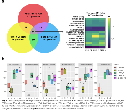 1761805990714857.png 1761805990714857.png