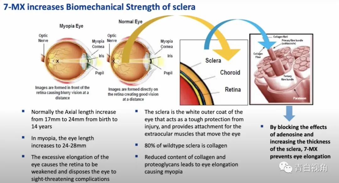 1761811388179216.png 1761811388179216.png