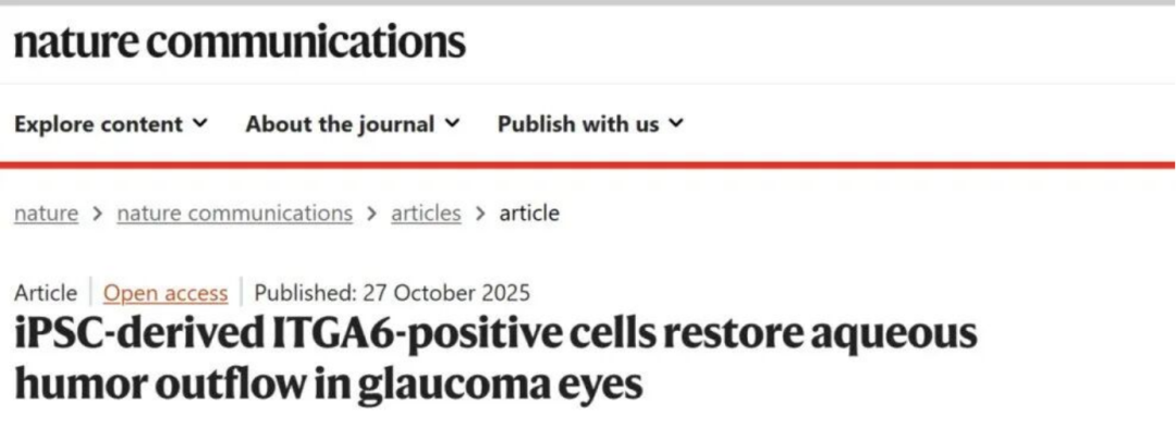 1761883280100531.png 1761883280100531.png