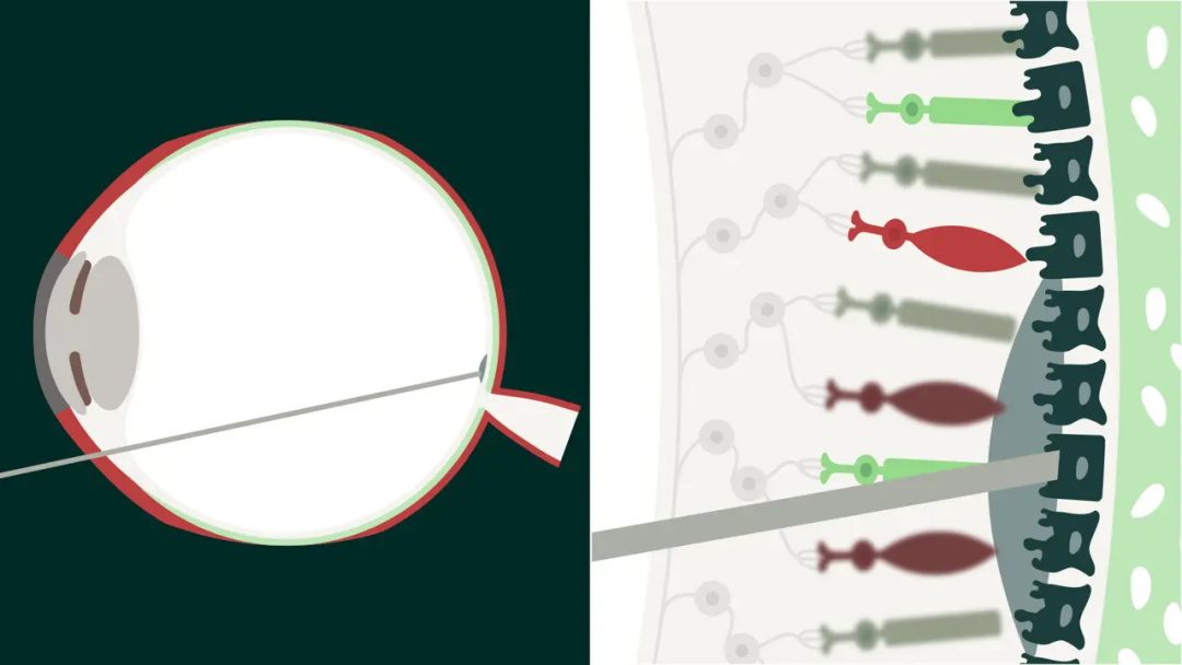 1762931782840162.png 1762931782840162.png