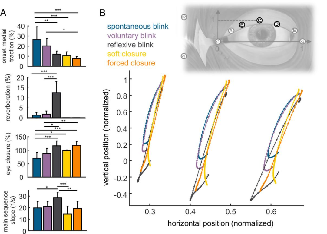 1762936883567615.png 1762936883567615.png