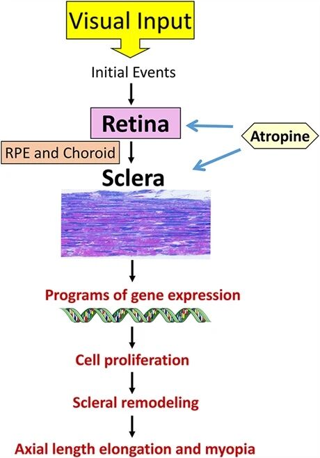 1763028397179821.jpg a28be447ad021b2246a6f8003dbf0dac.jpg