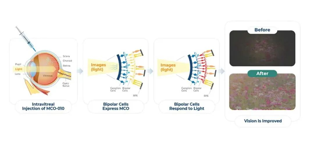 1763459818162522.png 1763459818162522.png