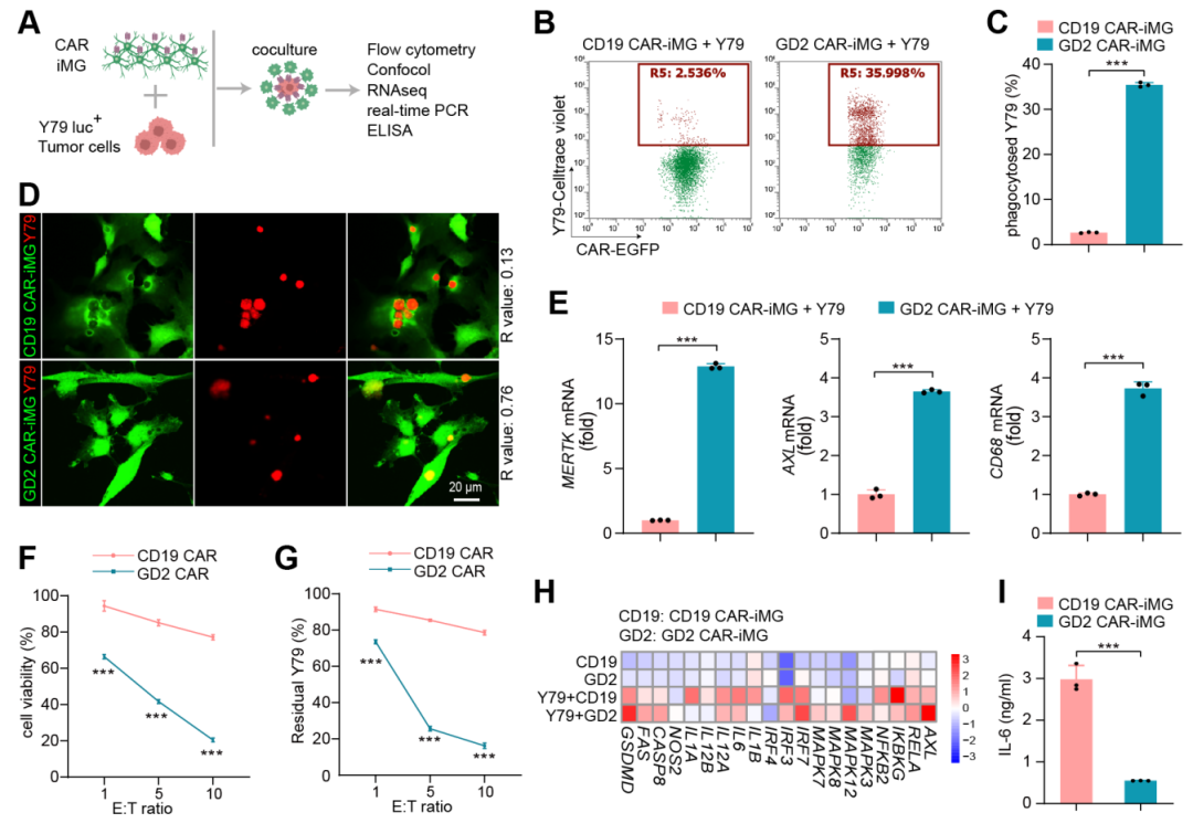 1763545896773419.png 1763545896773419.png