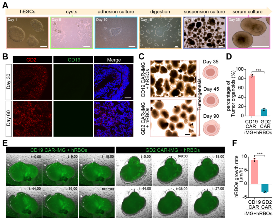 1763545911283719.png 1763545911283719.png