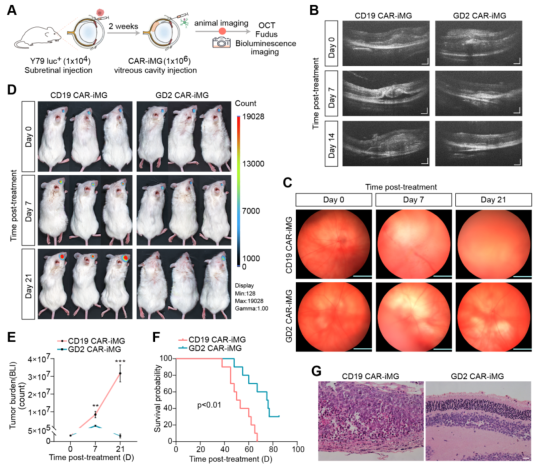 1763545928758615.png 1763545928758615.png