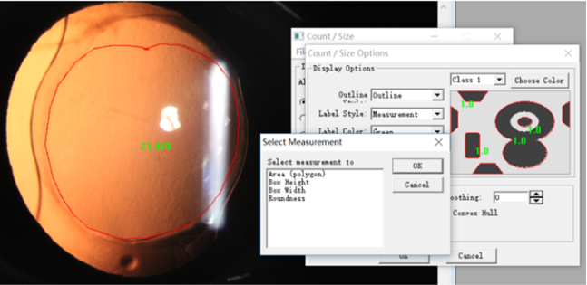 1763629130733847.png 1763629130733847.png