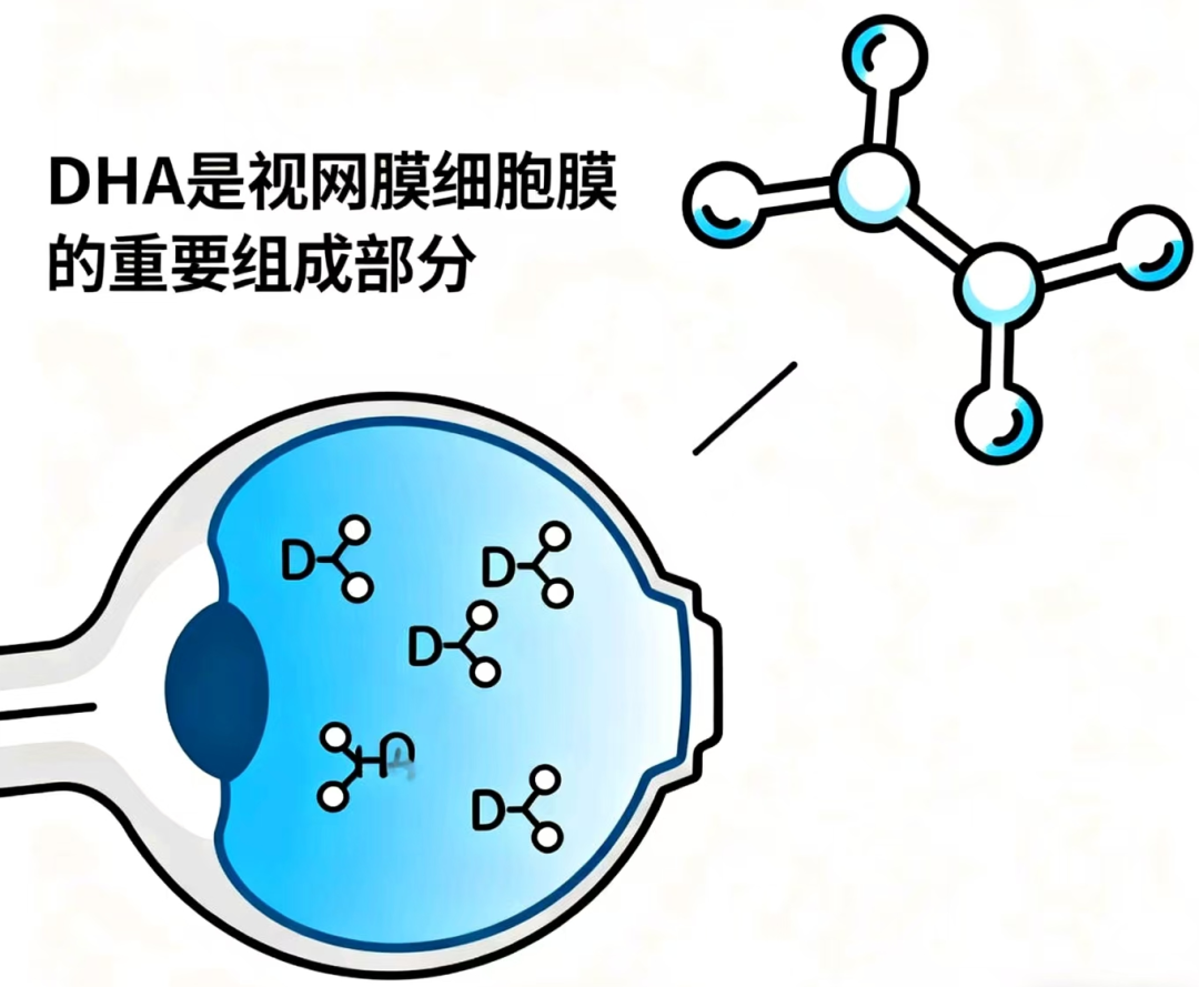 1764751840597545.png 640.png