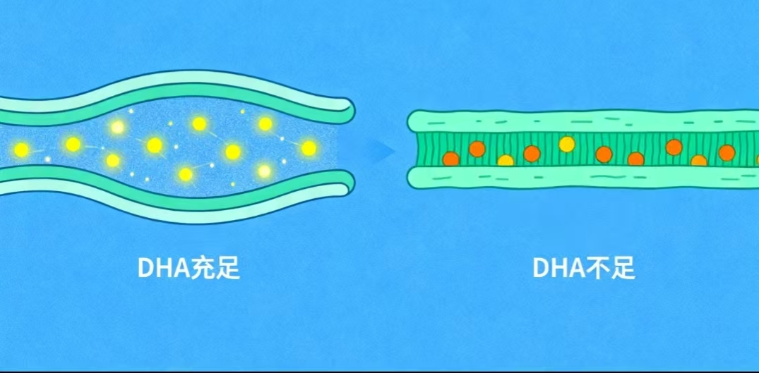 1764751882705624.png 640 (1).png