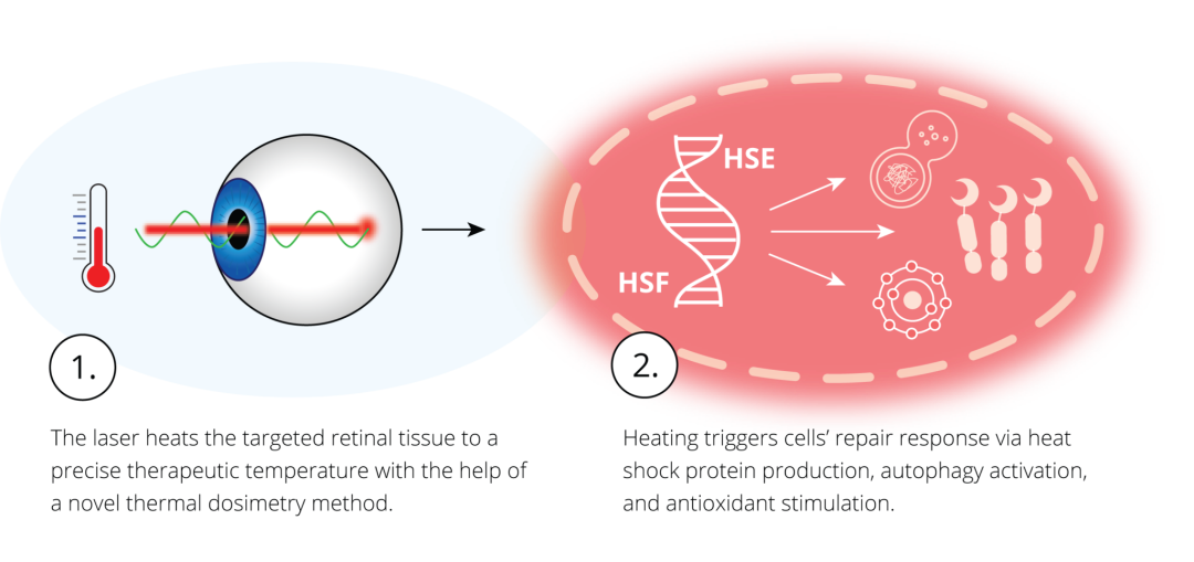 1764825926995967.png 640 (3).png