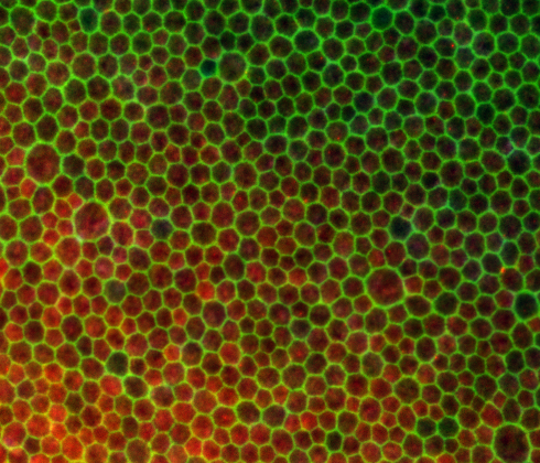 1764825944654657.png 640 (4).png