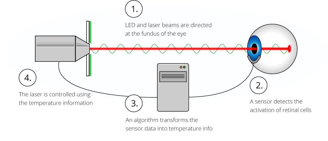 1764826167205932.png 640 (6).png